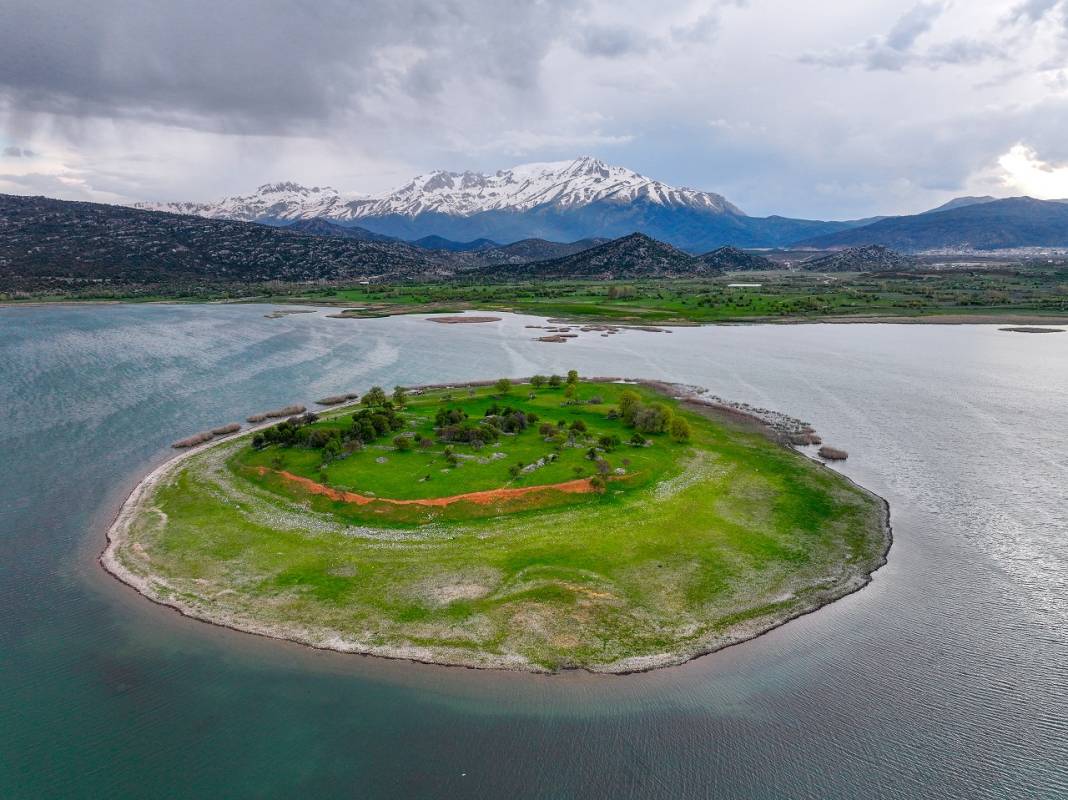 Konya'daki bu adanın sahipleri 50 küçükbaş sürüsü 14
